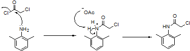 NH 3 T HCI COACO