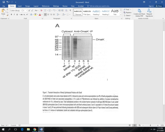 H5 Document? - Word Acrobat Tell me what you want to do... Home Review View Share Imert Design Layout Calibri (Boy) 11 AA AA
