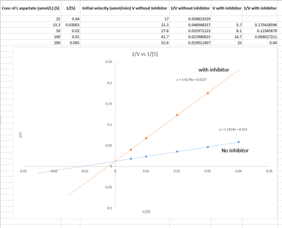 Conc of L aspartate (umol/L) [S] 1/[S] Initial velocity (umol/min) V without inhibitor 1/V without inhibitor V with inhibitor