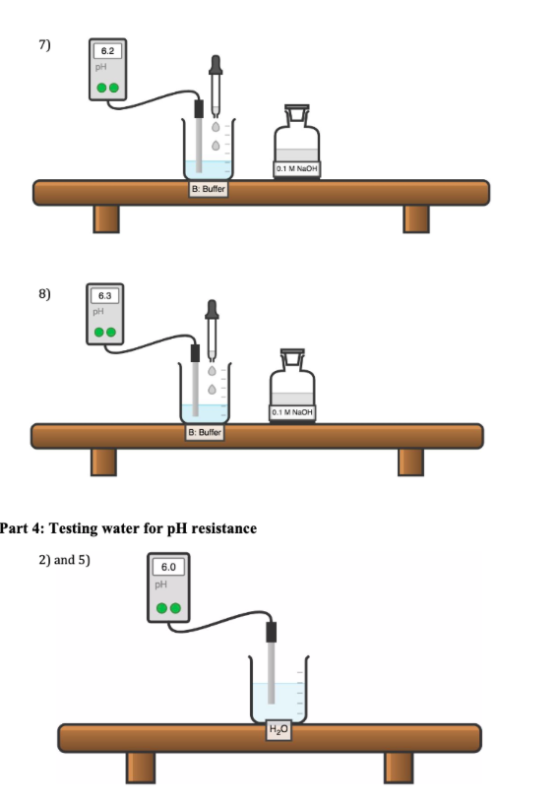 B: Butter B: Buffer Part 4: Testing water for pH resistance 2) and 5)
