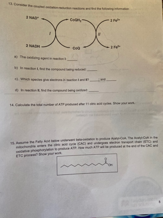 13. Consider the coupled oxidation-reduction reactions and find the following information 2 NAD Соан,- 2 Fe3+ DOC 2 NADH 2 Fe