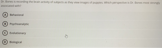 Dr. Bones is recording the brain activity of subjects as they view images of puppies. Which perspective is Dr. Bones most str