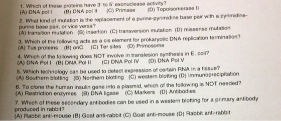 1. Which of these proteins have 3 to 5 exonuclease activity? (A) DNA pol I (B) DNA pol (C) Primase (D) Topoisomerase at kind of mutation is the replacement of a purine-pyrimidine base pair with a pyrimidine- purine base pair, or vice versa? (A) transition mutation (B) insertion (C) transversion mutation (D) missense mutation 3. Whi (A) Tus proteins (B) oriC (C) Ter sites (D) Primosome 4. Which of the following does NOT involve in translesion synthesis in E. coli? (A) DNA Pol I (B) DNA PolI (C) DNA Pol IV (D) DNA Pol V 5. Which technology can be used to detect expression of certain RNA in a tissue? (A) Southern blotting 6. To clone th (A) Restriction enzymes ich of the following acts as a cis element for prokaryotic DNA replication termination? blotting (B) Northem bloting (c) western bloting o) immunoprecipitation e human insulin gene into a plasmid, which of the following is NOT needed? (B) DNA ligase (C) Markers (D) Antibodies 7. Which of these secondary antibodies can be used in a western blotting for a primary antibody produced in rabbit? (A) Rabbit anti-mouse (B) Goat anti-rabbit (C) Goat anti-mouse (D) Rabbit anti-rabbit