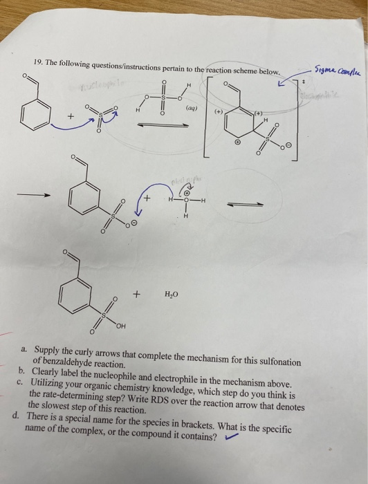 19. The following questions/instructions pertain to the reaction scheme below. com Dext - ana o= o + H20 a. Supply the curly