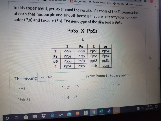AUTOS National Par... Google Slides Benefits of Early Chi... New Tab Limit screen time In this experiment, you examined the r