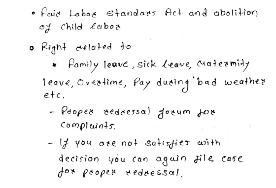 .Paić Leiboč standar, Act and aboliHon of Child ^abo* o Right elated >o * Pamily leave , sick Leave, Male*mi-l eave, Oves-time, Pay ducint bad wealhea etc decision you <an agn Hle Case