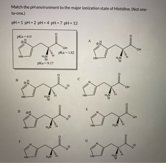 Match the pH environment to the major ionization state of Histidine. (Not one- to-one.) pH = 1 pH = 2 pH = 4 pH = 7 pH = 12 p