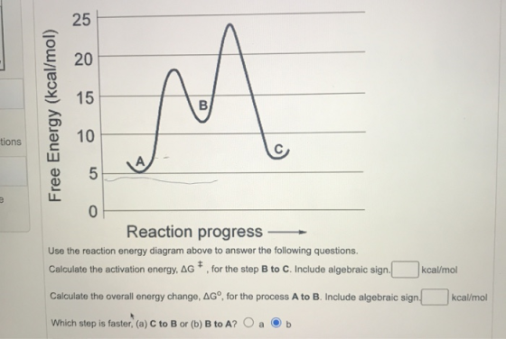 25 20 15 B Free Energy (kcal/mol) 10 tions A 5 e 0 Reaction progress Use the reaction energy diagram above to answer the foll