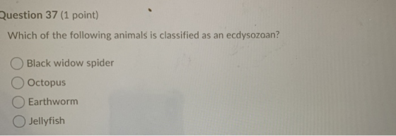 Question 37 (1 point) Which of the following animals is classified as an ecdysozoan? Black widow spider Octopus Earthworm Jel