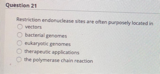 Question 21 Restriction endonuclease sites are often purposely located in vectors bacterial genomes 0 eukaryotic genomes ther