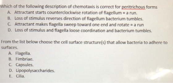 Which of the following description of chemotaxis is correct for peritrichous forms A. Attractant starts counterclockwise rota