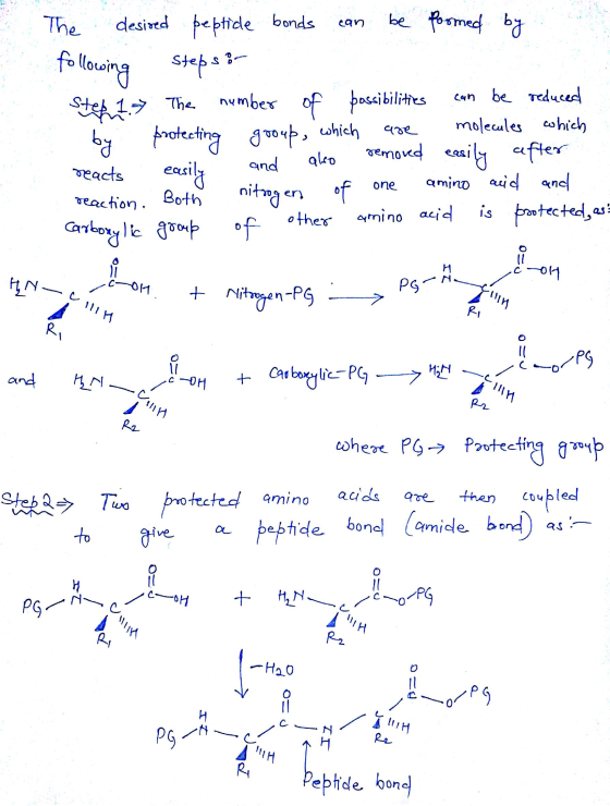 n The desired peptide bonds can be formed by following steps: Step 1.7 The number of possibilities can be reduced by protecti