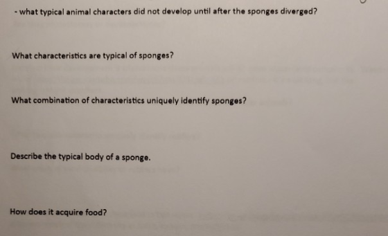 - what typical animal characters did not develop until after the sponges diverged? What characteristics are typical of sponge