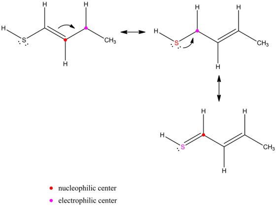 -T
A
པ། བབ། །
CH3
nucleophilic center
electrophilic center
electrophilic center
