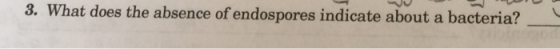 3. What does the absence of endospores indicate about a bacteria?