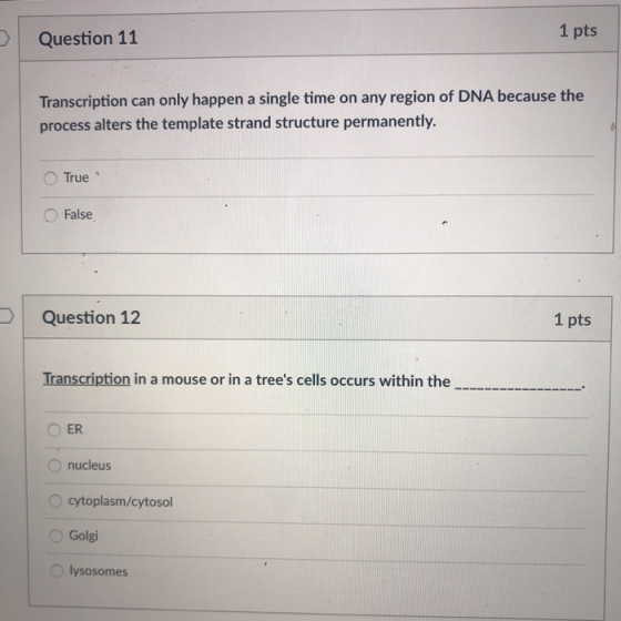 1 pts Question 11 Transcription can only happen a single time on any region of DNA because the process alters the template st