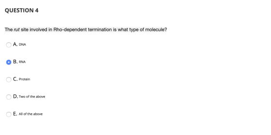 QUESTION 4 The rut site involved in Rho-dependent termination is what type of molecule? 0 O A. DNA 0 O B. RNA OC. Protein 0 D