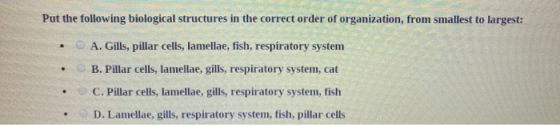 Put the following biological structures in the correct order of organization, from smallest to largest: . • A. Gills, pillar