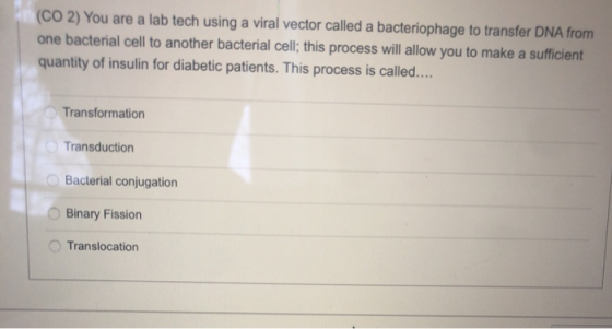 (CO 2) You are a lab tech using a viral vector called a bacteriophage to transfer DNA from one bacterial cell to another bact