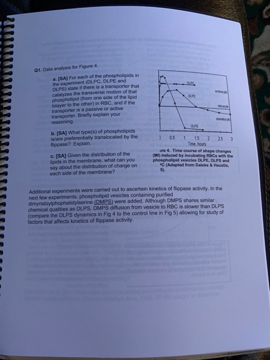 Q1. Data analysis for Figure 4. a. (SA) For each of the phospholipids in the experiment (DLPC, DLPE and DLPS) state if there