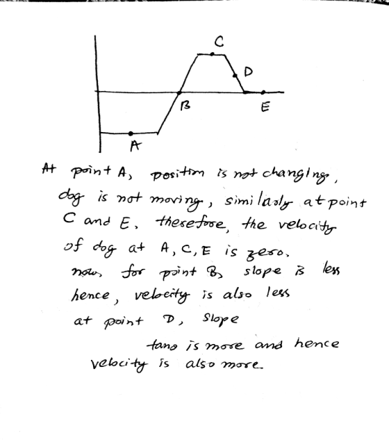 3 nt A, posi simi laalr atpoini C and E, theseroe, the veoai of dog at A, C,E is zero hence, veleity is also les fanss more amd hence Velocitt is als o more
