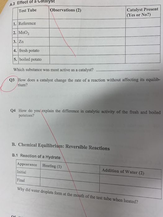 4.3 Effect of a Catalyst Test Tube Observations (2) Catalyst Present (Yes or No?) 1. Reference 2. MnO2 |3. Zn 4. fresh potato