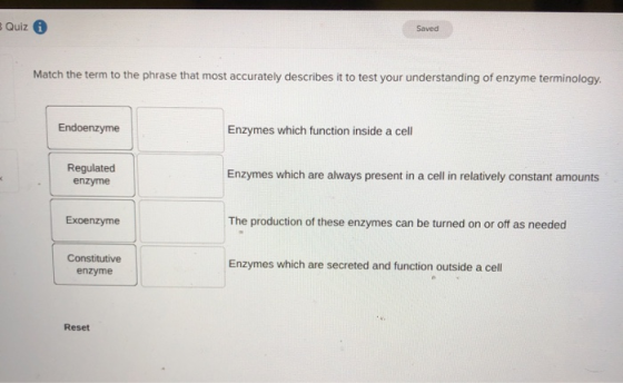 Quiz 6 Saved Match the term to the phrase that most accurately describes it to test your understanding of enzyme terminology.