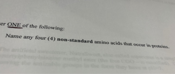 er ONE of the following: Name any four (4) non-standard amino acids that occur in proteins.