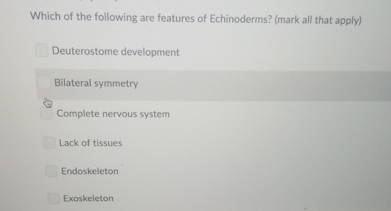 Which of the following are features of Echinoderms? (mark all that apply) Deuterostome development Bilateral symmetry Complet