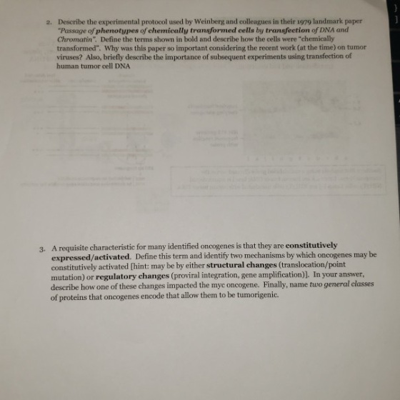 2. Describe the experimental protocol used by Weinberg and colleagues in their 1979 landmark paper Passage of phenotypes of