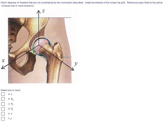 Which degrees of freedom that are not constrained by the connection described. Small movements of the human hip joint. Refere