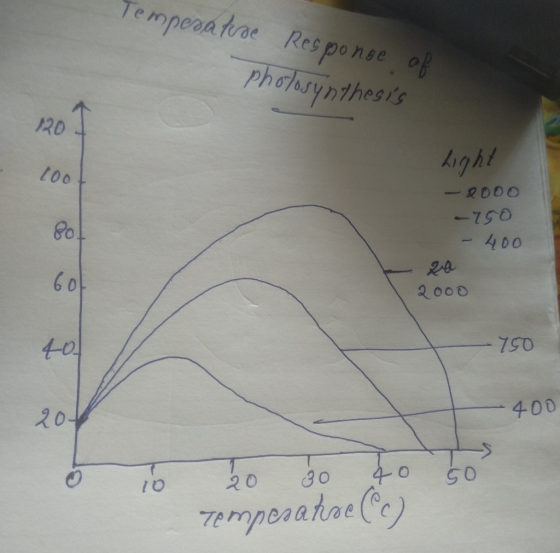 Temperature Responoe of photosynthesis Light - 2000 -750 - 400 za 2000 - 750 .400 0 10 50 20 30 40 tempesatse (°C)
