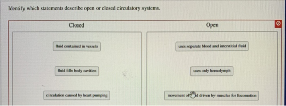 Identify which statements describe open or closed circulatory systems. Closed Open fluid contained in vessels uses separate b