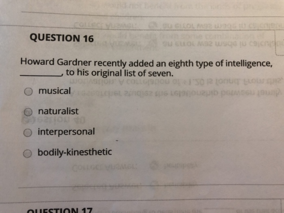 GLLOL AS COLLE QUESTION 16 Howard Gardner recently added an eighth type of intelligence, to his original list of seven. music