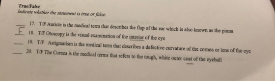 True/False Indicate whether the statement is true or false. - 17. T/F Auricle is the medical term that describes the flap of
