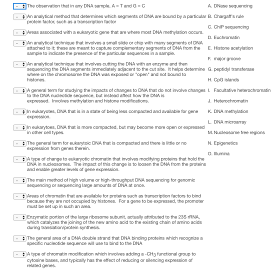 The observation that in any DNA sample, A T and G C A. DNase sequencing An analytical method that determines which segments of DNA are bound by a particular B. Chargaffs rule protein factor, such as a transcription factor C. ChIP sequencing D. Euchromatin E. Histone acetylation F. major groove - # Areas associated with a eukaryotic gene that are where most DNA methylation occurs. # An analytical technique that involves a small slide or chip with many segments of DNA - attached to it; these are meant to capture complementary segments of DNA from the sample to indicate the presence of the particular sequences in a sample . # An analytical technique that involves cutting the DNA with an enzyme and then sequencing the DNA segments immediately adjacent to the cut site. It helps determine G. peptidyl transferase where on the chromosome the DNA was histones exposed or open and not bound to H. CpG islands # A general term for studying the impacts of changes to DNA that do not involve changes l. Facultative heterochromatin J. Heterochromatin K. DNA methylation L. DNA microarray M. Nucleosome free regions · to the DNA nucleotide sequence, but instead affect how the DNA is expressed. Involves methylation and histone modifications. - 쉬 In eukaryotes, DNA that is in a state of being less compacted and available for gene expression. # In eukartoes, DNA that is more compacted, but may become more open or expressed - in other cell types. *The general term for eukarytoic DNA that is compacted and there is little or no Epigenetics exp ression from genes therein. O. Illumina *A type of change to eukaryotic chromatin that involves modifying proteins that hold the DNA in nucleosomes. The impact of this change is to loosen the DNA from the proteins and enable greater levels of gene expression. | - 쉬 The main method of high volum e or high-throughput DNA sequencing for genomic sequencing or sequencing large amounts of DNA at once Areas of chromatin that are available for proteins such as transcription factors to bind because they are not occupied by histones. For a gene to be expressed, the promoter must be set up in such an area. - # | Enzymatic portion of the large ribosome subunit, actually attributed to the 23S rRNA, which catalyzes the joining of the new amino acid to the existing chain of amino acids during translation/protein synthesis . # The general area of a DNA double strand that DNA binding proteins which recognize a specific nucleotide sequence will use to bind to the DNA . # A type of chromatin modification which involves adding a-CH3 functional group to cytosine bases, and typically has the effect of reducing or silencing expression of related genes.