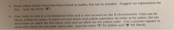 5. Hairy pinna (hairy ears) has been found in males, but not in females. Suggest an explanation for this. (use the letter E