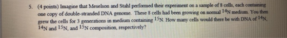 5. (4 points) Imagine that Meselson and Stahl performed their experiment on a sample of 8 cells, each containing one copy of