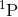 ^{1}\textrm{P}