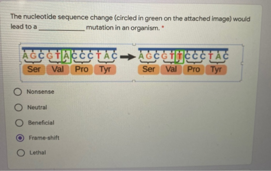 The nucleotide sequence change (circled in green on the attached image) would lead to a mutation in an organism. * AGC GIACCC