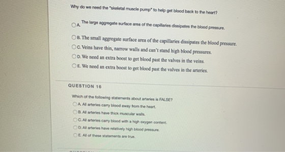 Why do we need the skeletal muscle pump to help get blood back to the heart? The large aggregate surface area of the capill