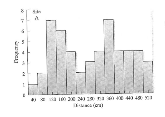 8 Site 40 80 120 160 200 240 280 320 360 400 440 480 520 Distance (cm)