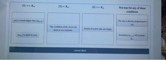 [S] << K. [S] = K.. [S] >> K. Not true for any of these conditions [ES] is much higher than E ) The rate is directly proporti