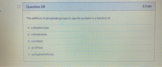 D Question 28 2.2 pts The addition of phosphate groups to specific proteins is a function of O a phosphorylase o a phosphatas