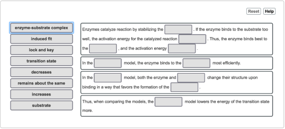 Reset Help complexEnzymes catalyze reaction by stabilizing the If the enzyme binds to the substrate too Thus, the enzyme binds best to induced fit lock and key transition state well, the activation energy for the catalyzed reaction the and the activation energy In the model, the enzyme binds to the most efficiently decreases In the model, both the enzyme and change their structure upon remains about the same binding in a way that favors the formation of the increases Thus, when comparing the models, the model lowers the energy of the transition state substrate more