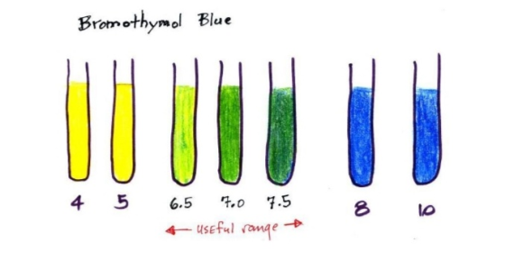 Bromothymol Blue 4 5 6.5 4 7.0 7.5 useful range