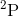^{2}\textrm{P}