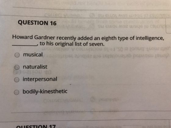 LLOL PAS 0 COLLE QUESTION 16 su ELOL MS2 Howard Gardner recently added an eighth type of intelligence, to his original list o