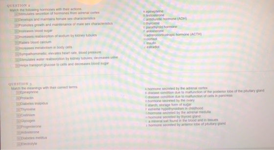 QUESTION 2 Match the following hormones with their actions stimulates secretion of hormones from adrenal cortex B testosterone and maintains female sex c antidluretic hormone (ADH) Dthyroxine E parathyroid hormone Promote s growth and maintenance of male sex characteristics Increases blood sugar Increases reabsorption of sodium by kidney tubules G adrenocorticotropic homone (ACTH) H cortisol Raises blood calcium Increases metabolism in body cell 1 insulin ympathomimetic, elevates heart rate, blood pressure Stimulates water reabsorption by kidney tubules; decreases urine ●回Helps transport glucose to cells and decreases blood sugar QUESTION 3 Match the meanings with their correct terms A hormone secreted by the adrenal cortex B disease condition due to malfunction of the posterior lobe of the pituitary gland C disease condition due to malifunction of cells in pancreas D hormone secreted by the ovary E starch, storage form of sugar F extreme hypothyroldism in childhood G hormone secreted by the adrenal medulla insipidus Thyroxine Cretinism ycogen hormone secreted by thyroid gland a mineral salt found in the blood and in tissues i hormone secreted by anterior lobe of pituitary gland Aldosterone Diabetes mellitus Electrolyte