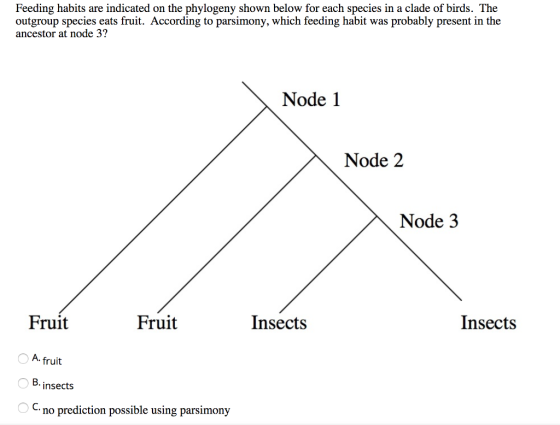 Feeding habits are indicated on the phylogeny shown below for each species in a clade of birds. The outgroup species eats fruit. According to parsimony, which feeding habit was probably present in the ancestor at node 3? Node 1 Node 2 Node 3 Fruit Fruit Insects Insects A. fruit B. insects no prediction possible using parsimony